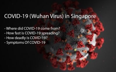 COVID-19 (Wuhan Virus)