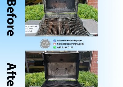 Gas Weber Barbecue Grill Cleaning Results