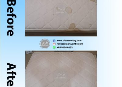 Mattress Cleaning Results