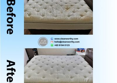 Mattress Cleaning Results