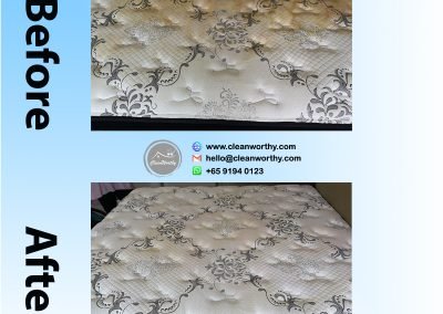Mattress Cleaning Results