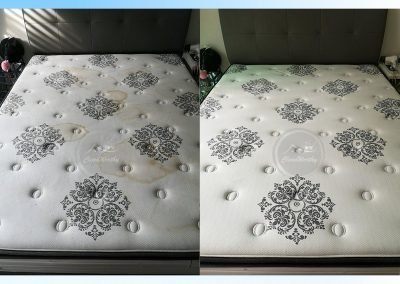 Mattress Cleaning Results