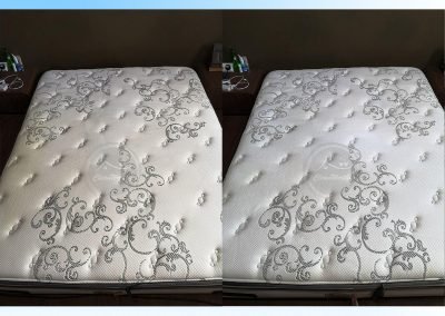 Mattress Cleaning Results