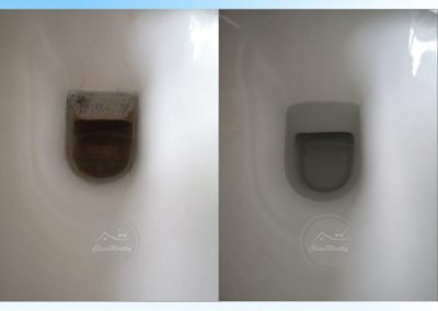 Toilet Bowl Cleaning Results