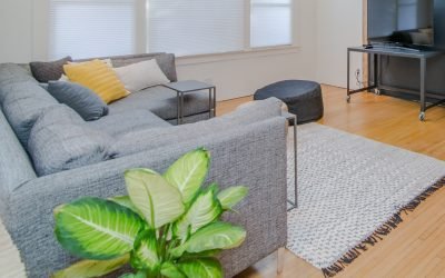 Sofa Cleaning Mistakes To Avoid
