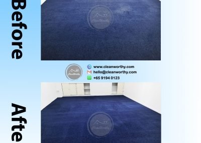 Carpet Cleaning Results