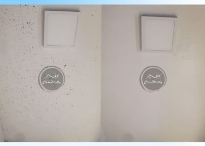 Toilet and Bathroom Mold Cleaning