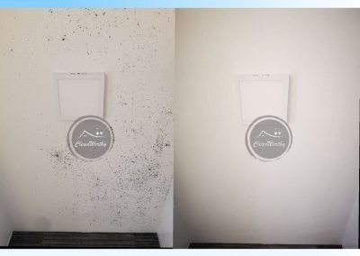 Toilet and Bathroom Mold Cleaning