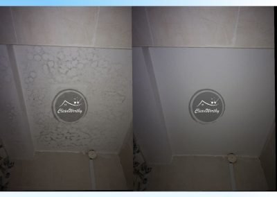 Toilet and Bathroom Mold Cleaning