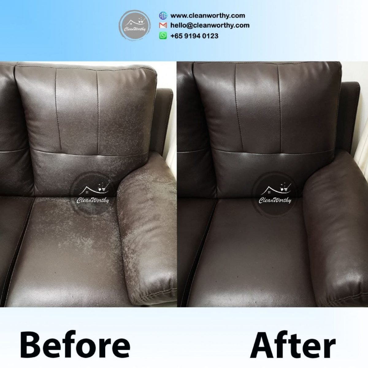 Leather Upholstery Cleaning Services